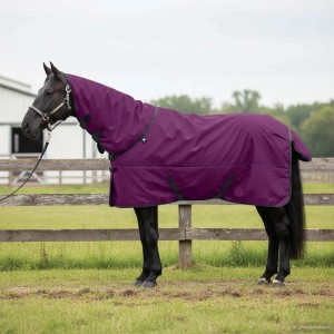 vidaXL Pferdedecke Dunkelgrün und Schwarz 135 cm Polyester 42013163