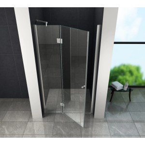 Glasdeals Nischentür ENTRARO 110x195cm, rahmenlose Dusche mit klarem Glas und Chrombeschlägen.