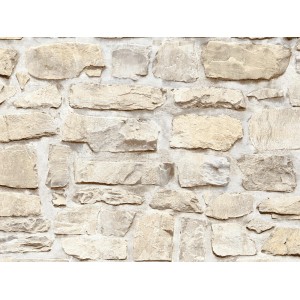 A.S. Création Vliestapete Il Decoro Stein Beige, Dekorative Tapete in Steinoptik.