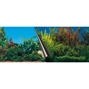 Ebi Fotorückwand Beauty & Sea, 120x50cm, mit Unterwasser-Motiven für Aquarium & Terrarium.