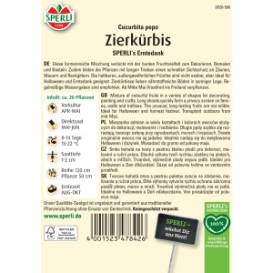Sperli Zierkürbis 'Erntedank' Saatgut: Bunte Kürbisse zum Dekorieren für Herbst und Halloween.