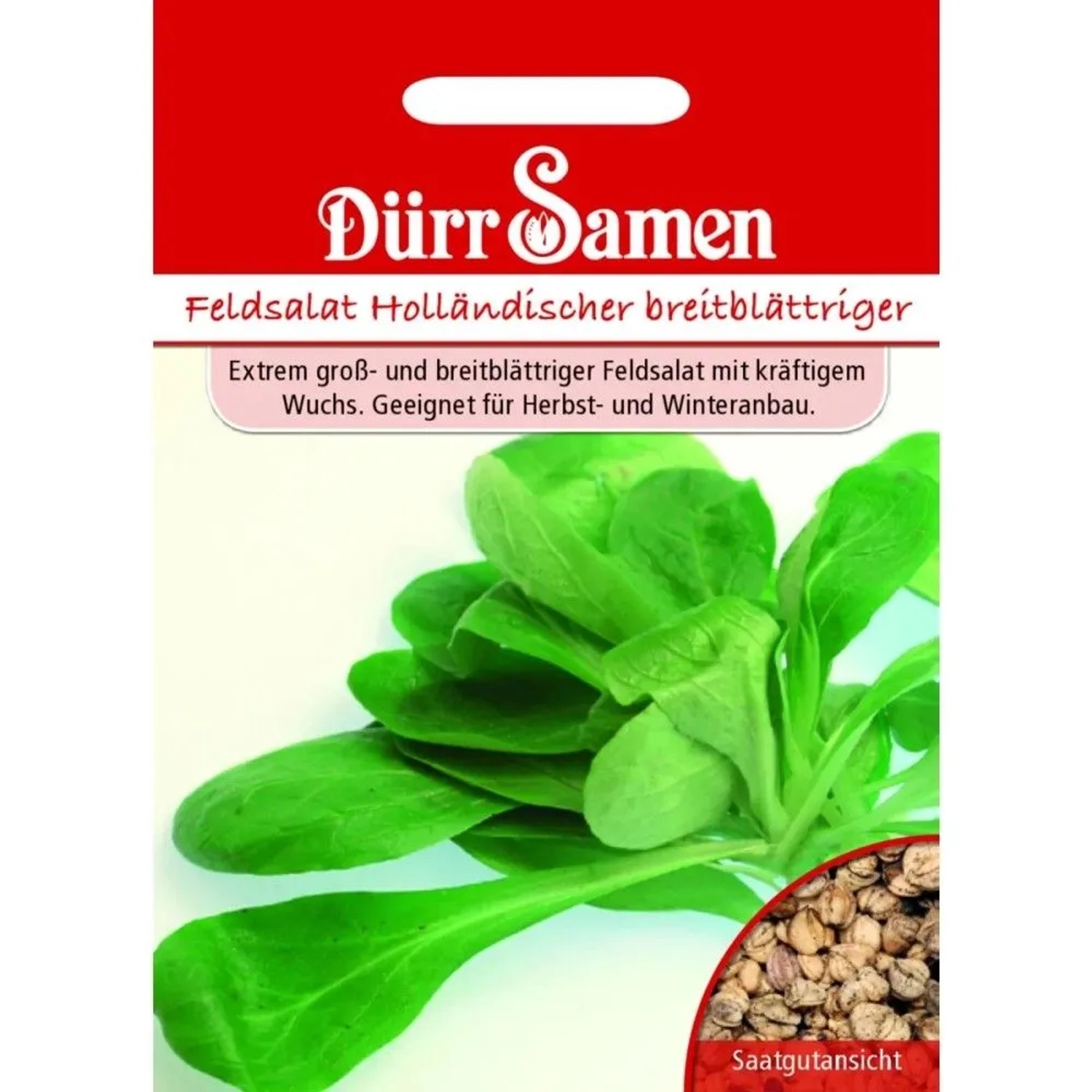 Dürr Samen Feldsalat Holländer Saatgut
