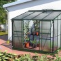 Anlehn-Gewächshaus Ida 5200 Smaragd mit Pflanzen und geöffnetem Dachfenster.