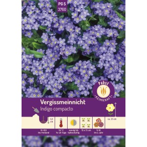 Pabst Vergissmeinnicht Indigo Compacto Saatgut mit leuchtend blauen Blüten.