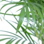 Detailaufnahme der grünen Blätter einer Goldfruchtpalme (Areca) im Topf. Zimmerpalme.