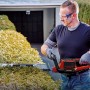 Einhell Akku-Heckenschere GE-CH 36/65 Li-Solo im Einsatz beim Heckenschnitt.