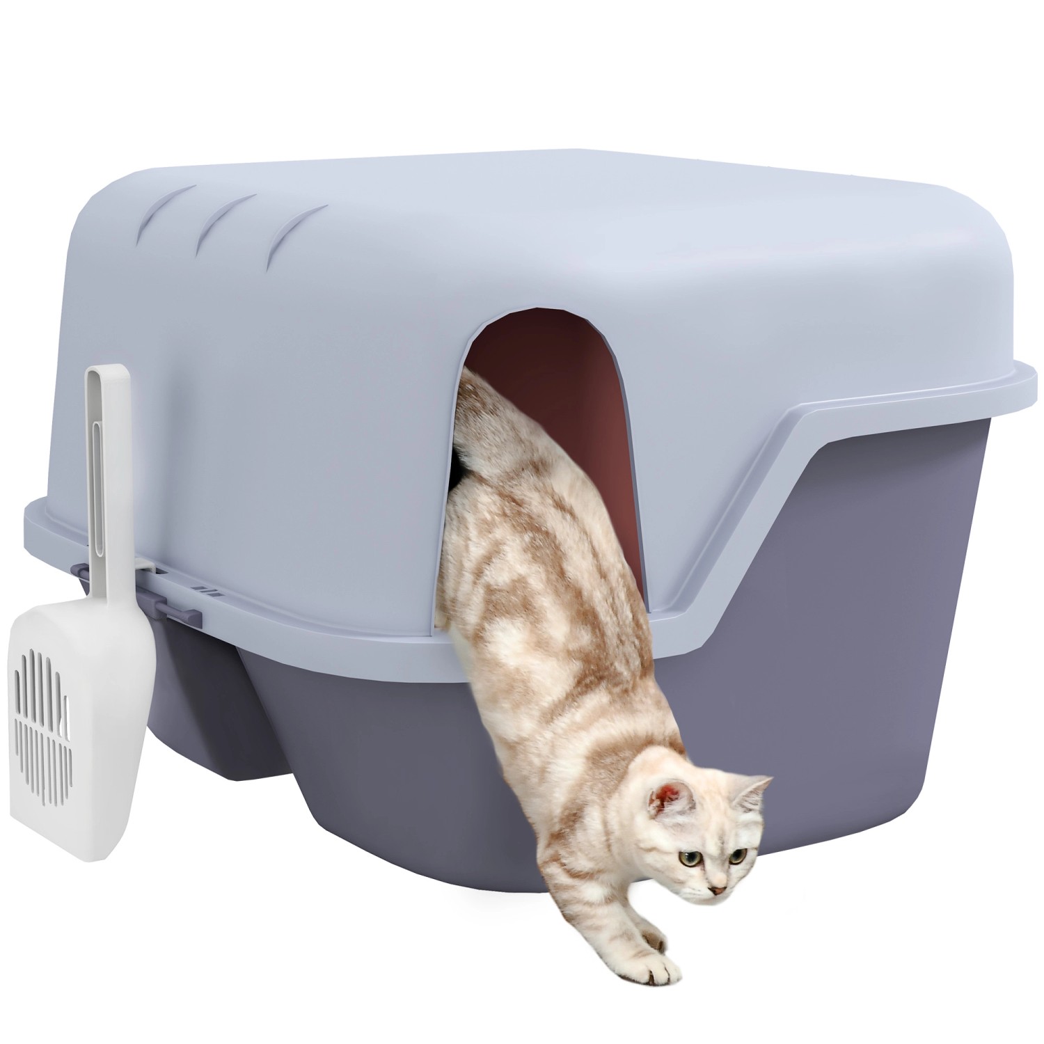 PawHut Katzentoilette Kunststoff  Violett 50L x 50B x 39H cm
