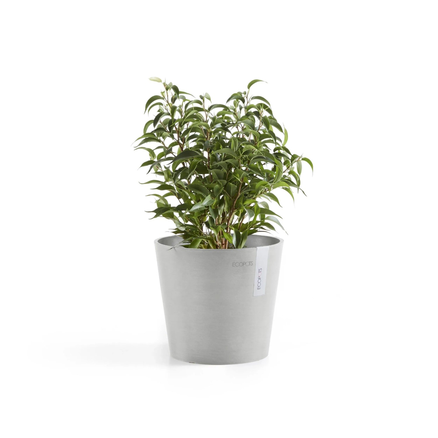 Ecopots Pflanztopf Amsterdam Mini, weißgrau, 17 cm, mit grüner Pflanze.