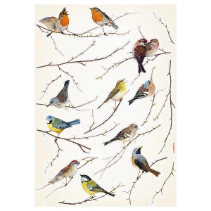 Komar Wandsticker Vogerl (70x50cm) mit verschiedenen Vogelmotiven auf Ästen, zur Wanddekoration.