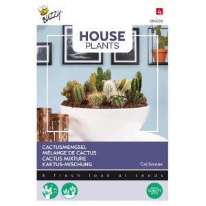 Kakteen-Mischung Buzzy House Plants Circa 0,2 g Für Ganzjährige Zimmerkultur