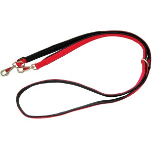 Rote Heim Hunde-Vorführleine, 300 cm lang, mit Gurtband und weicher Fütterung.