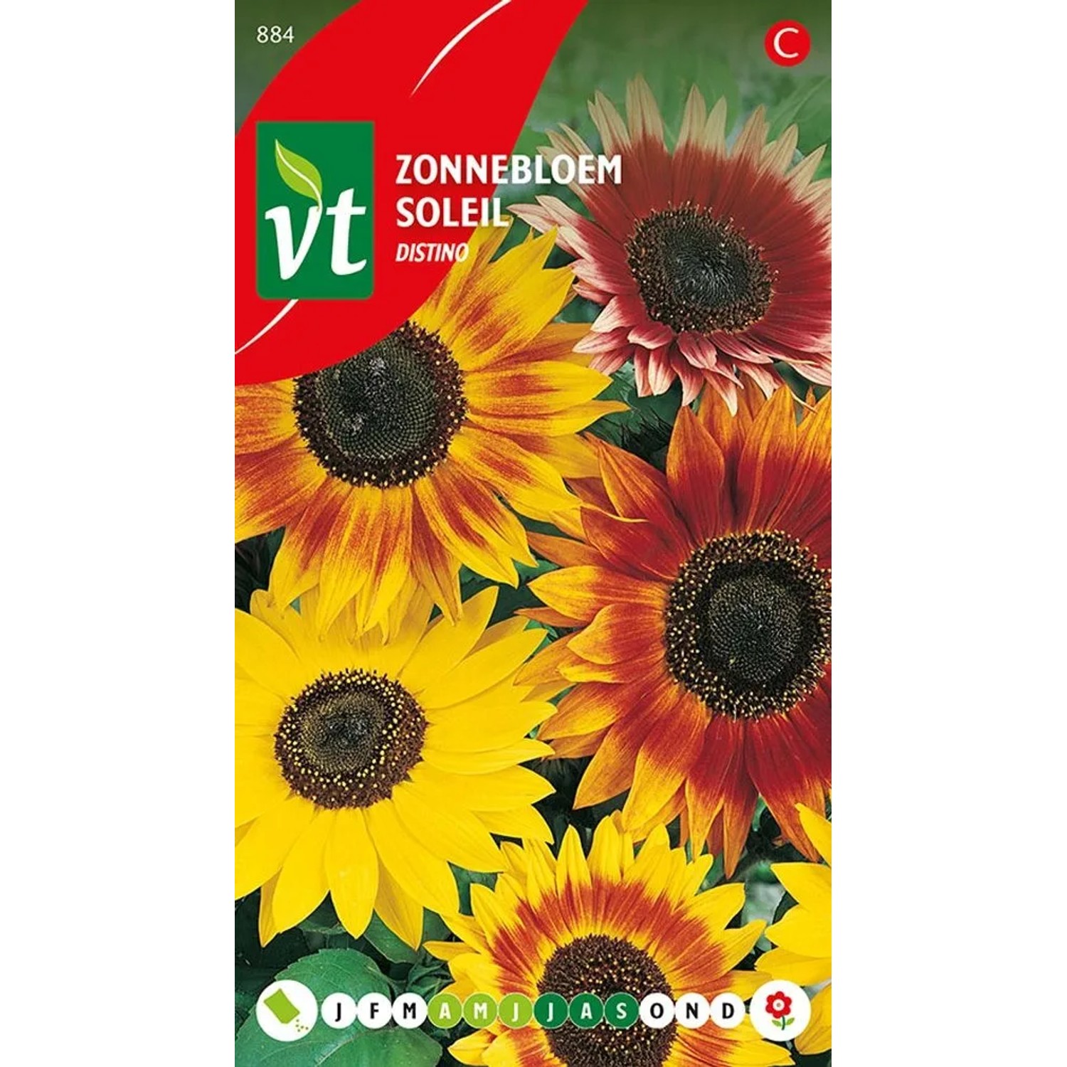 Sonnenblume 'Distino' Samen Ca. 1 g Große Blüten