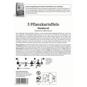 Kiepenkerl Pflanzkartoffel Heiderot, 5 St