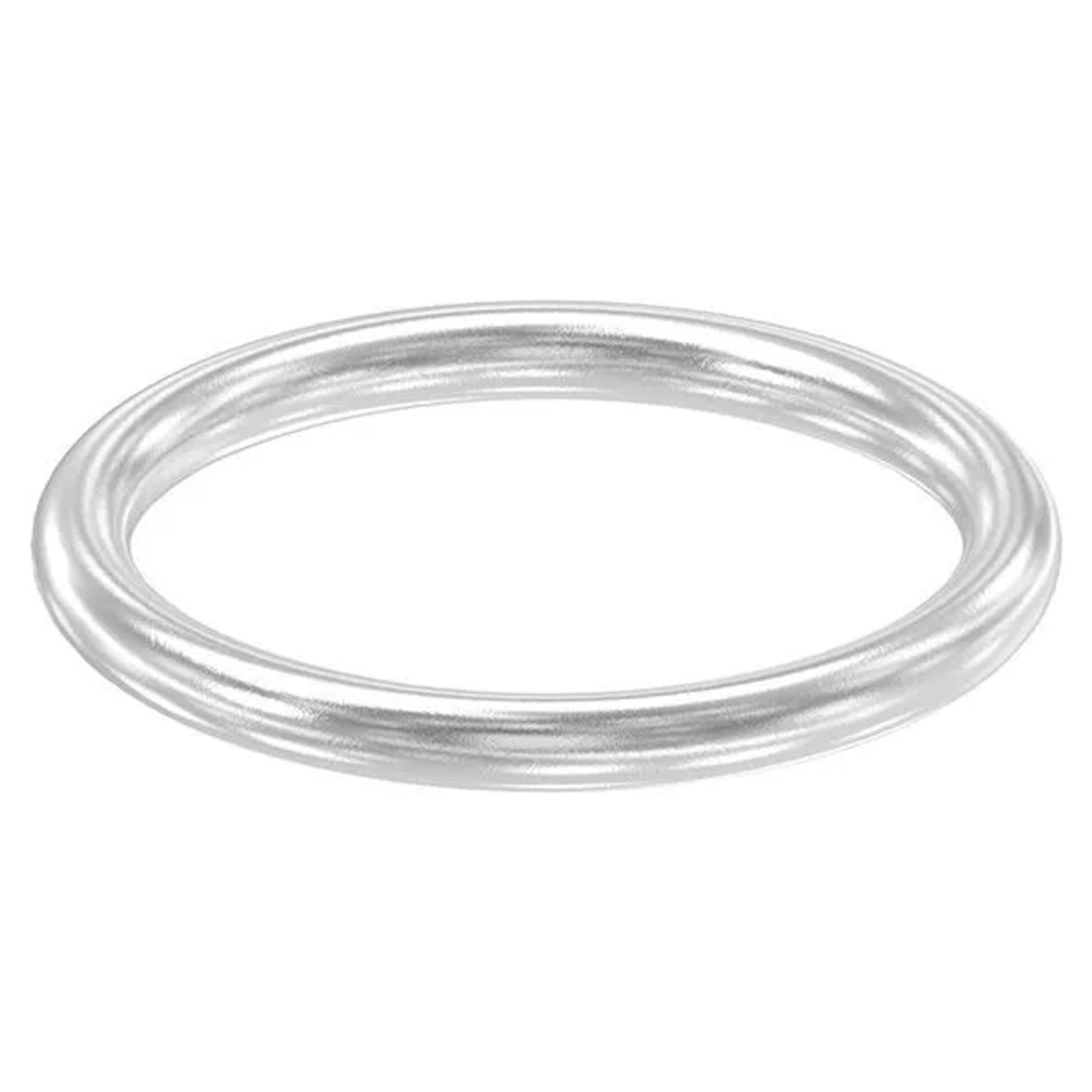 FeNau Ring Außen Ø 124 mm Materialstärke 12 mm V2A