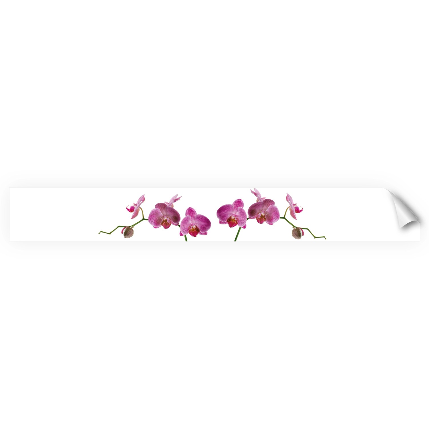 Myspotti Küchenrückwandfolie Orchidee Pink Selbstklebend 450 cm x 60 cm