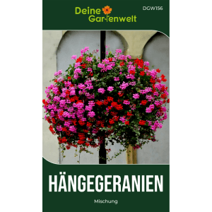 Üppige Hängegeranien Mischung in Pink und Rot, ideal für Balkon und Garten. Blumensamen.