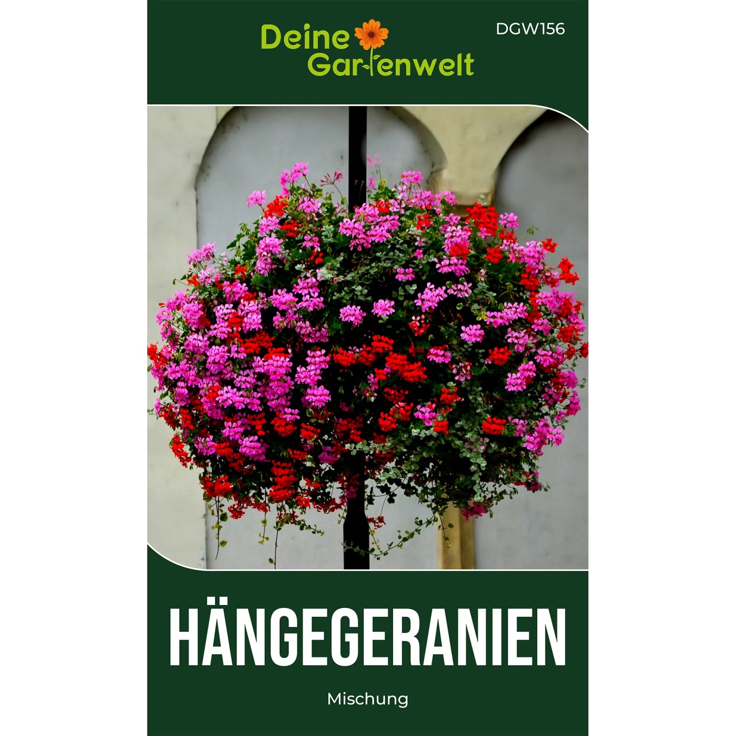 Deine Gartenwelt Hängegeranien Mischung Samen