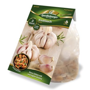 Quedlinburger Knoblauch 'Flavor' weiß, frühe Sorte im 3er Pack. Aromatisch und gut lagerfähig.