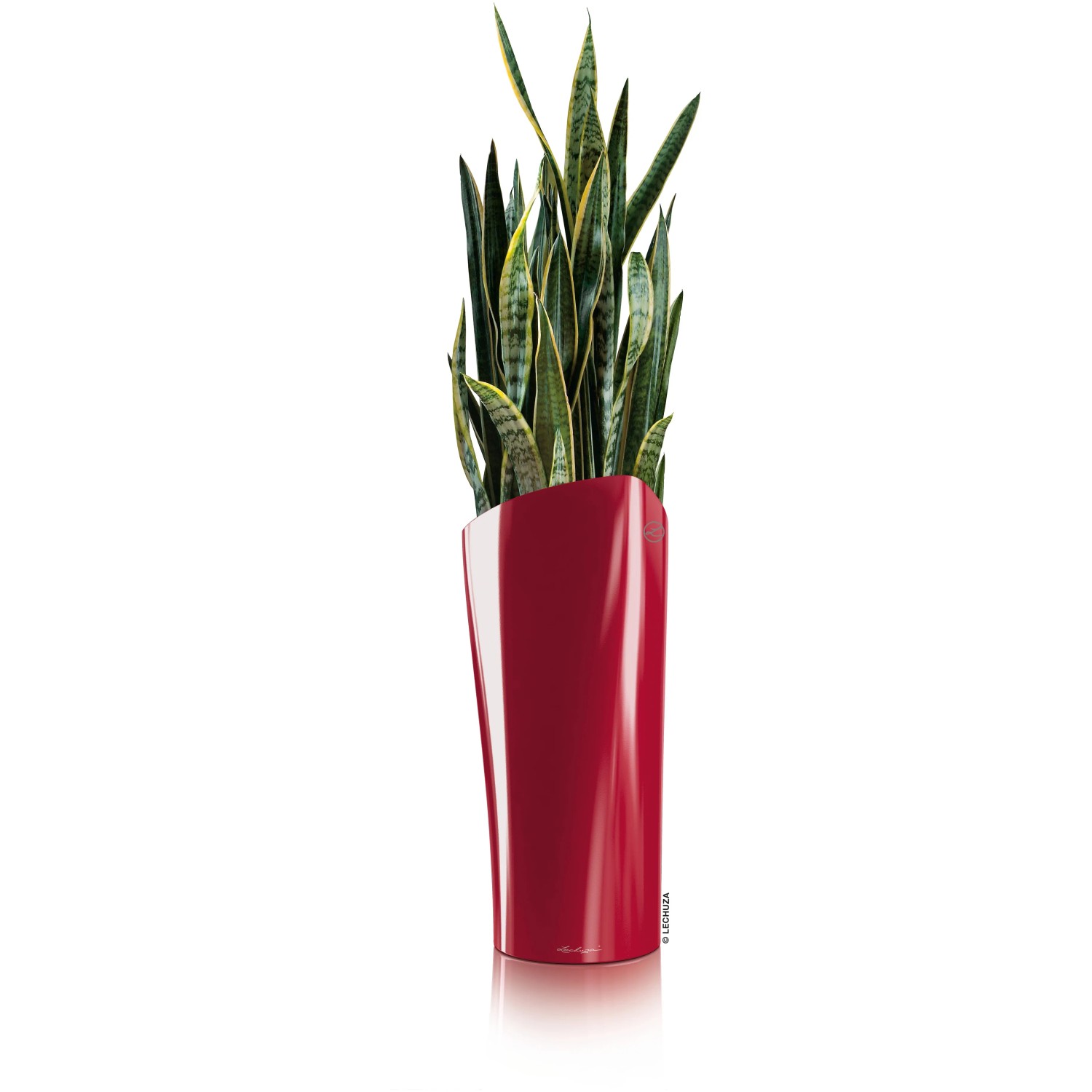 Lechuza Delta Premium Pflanzsäule, 75 cm hoch, scarlet rot, mit Grünpflanze.