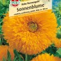 Samenpackung: Gelbe, gefüllte Sonnenblume 'Hohe Sonnengold' von Sperli, ideal für Allergiker.