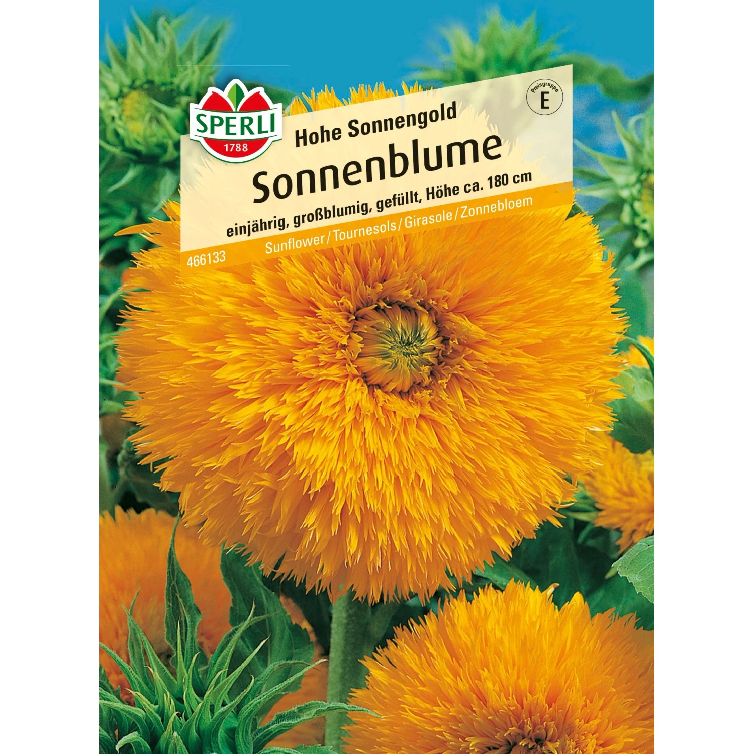 Samenpackung: Gelbe, gefüllte Sonnenblume 'Hohe Sonnengold' von Sperli, ideal für Allergiker.