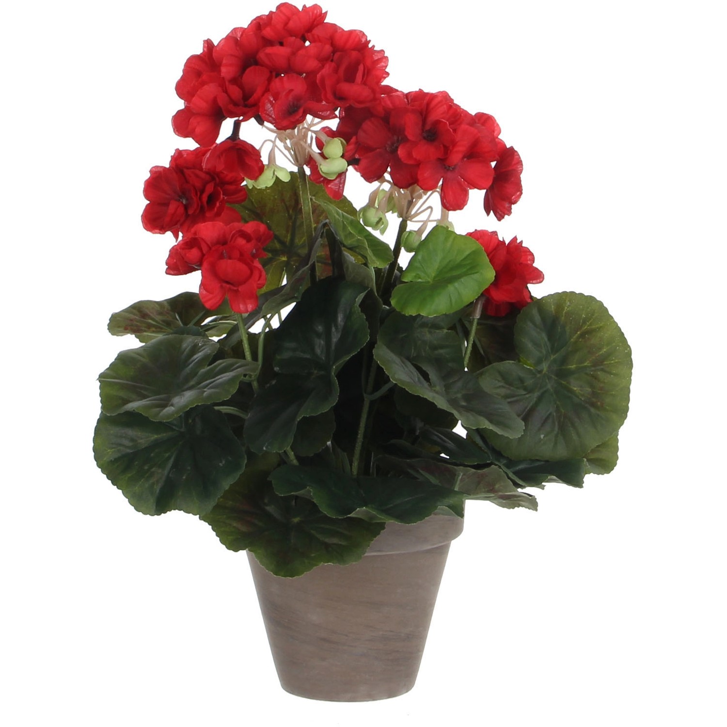 Mica Decorations Kunstpflanze Geranie im Blumentopf Stan Ø 20 cm x 34 cm Rot