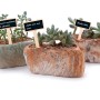 Holz-Pflanzstecker mit Kreidetafel, 10er Set, in bepflanzten Töpfen. Ideal zum Beschriften im Garten.