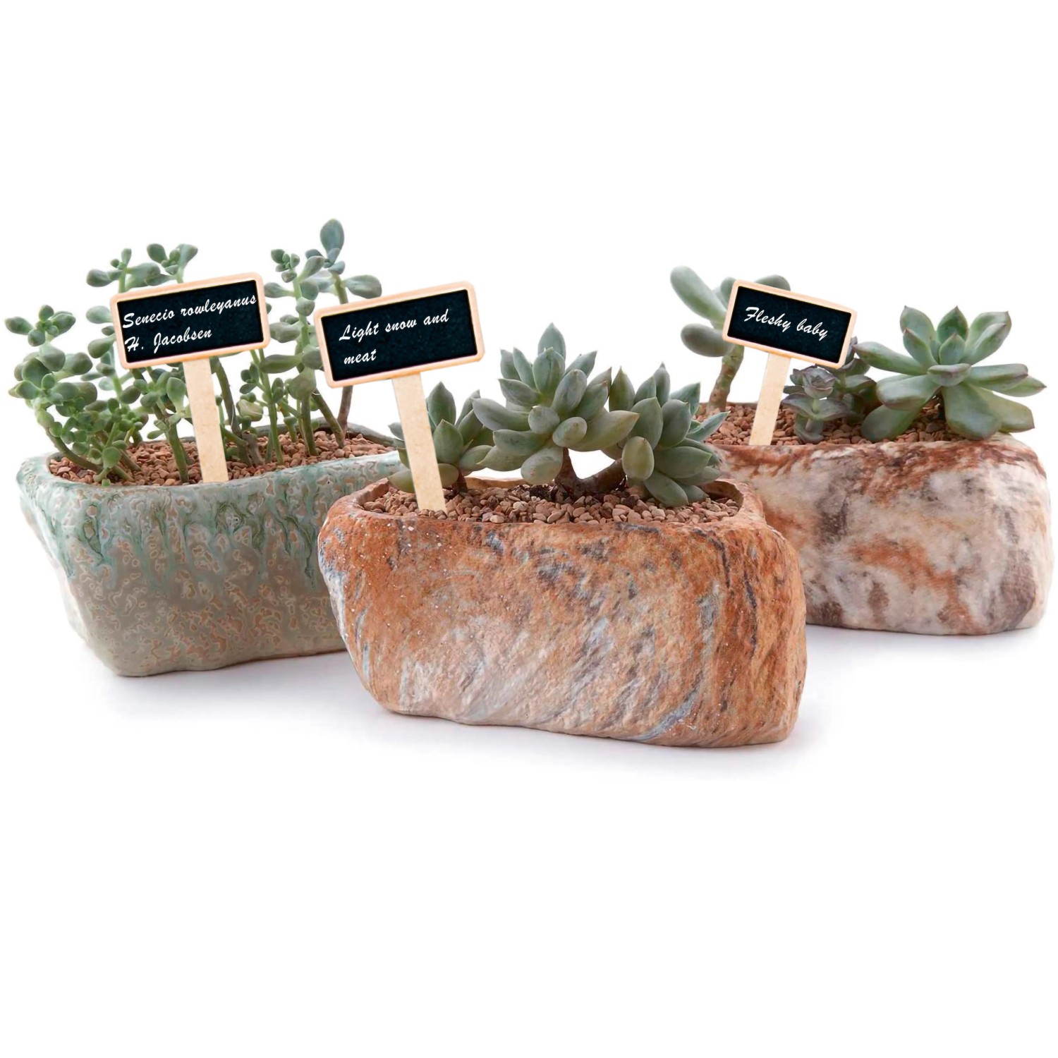 Holz-Pflanzstecker mit Kreidetafel, 10er Set, in bepflanzten Töpfen. Ideal zum Beschriften im Garten.