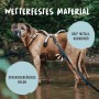 Brauner Hund mit Rudelkönig Schleppleine aus Nylon, 10 m, beim Training im Wasser.