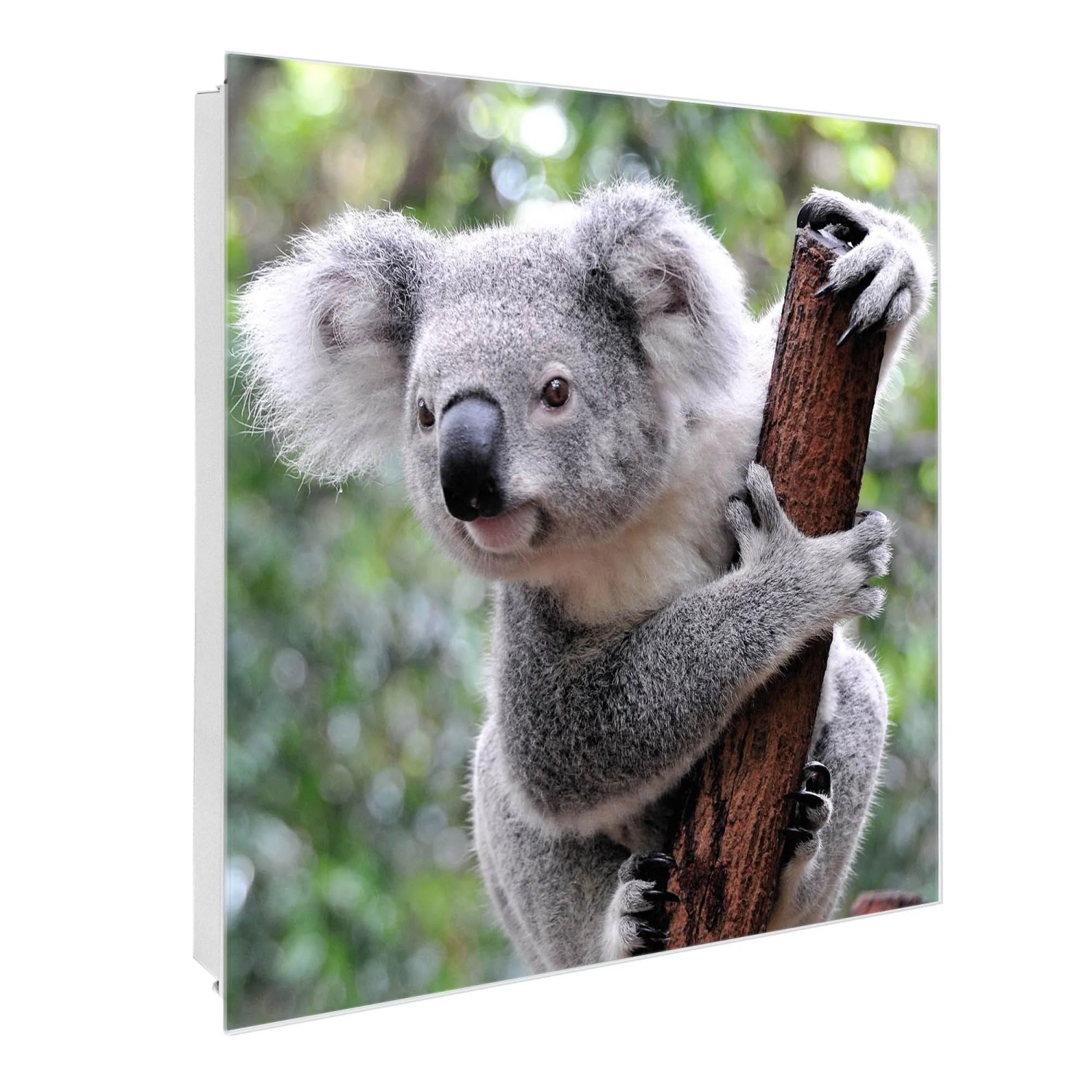 Banjado Großer Schlüsselkasten Glas 30x30cm Weiß Scharnier Rechts 50 Haken günstig online kaufen