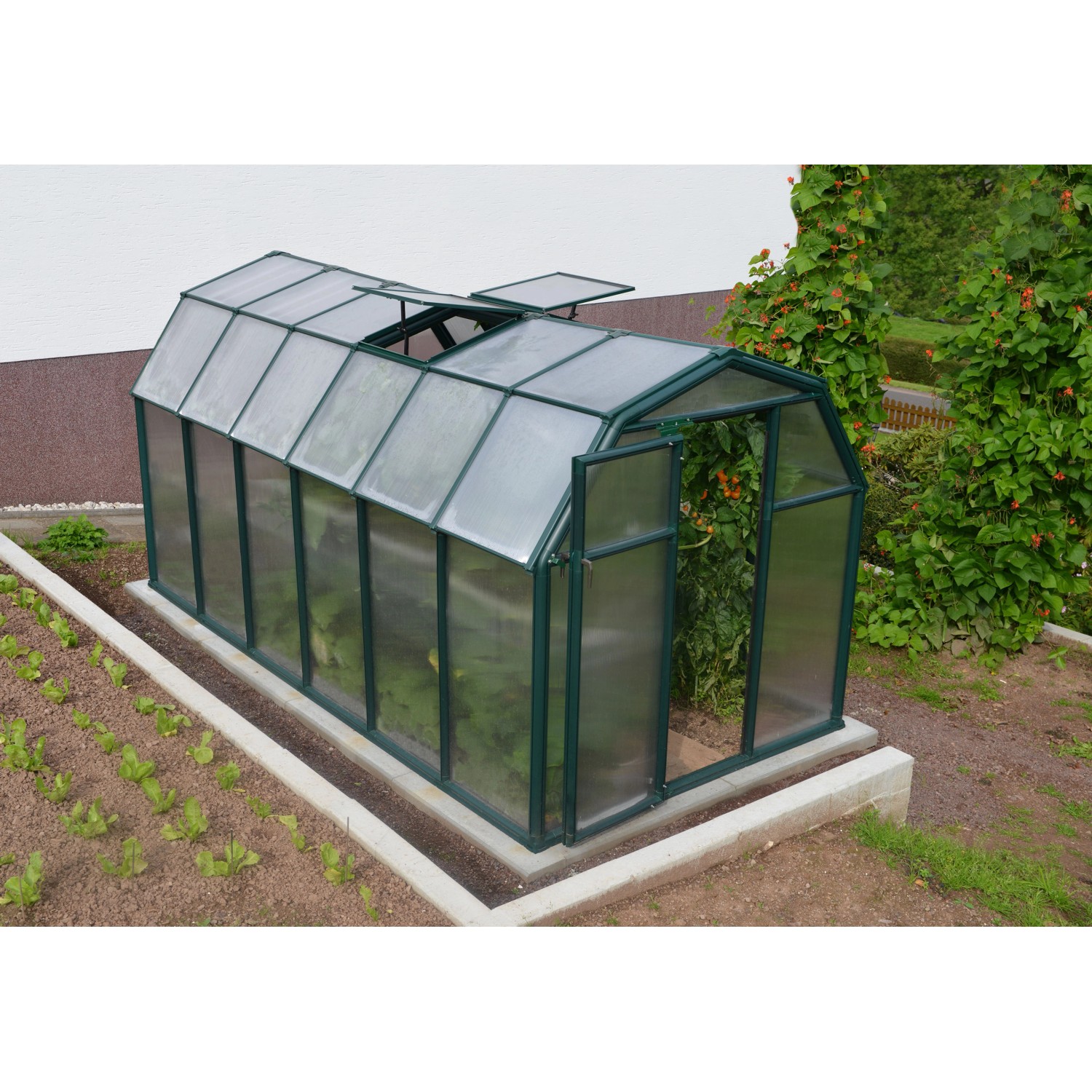 Palram - Canopia Gewächshaus Eco Grow 383 cm x 204 cm Grün günstig online kaufen