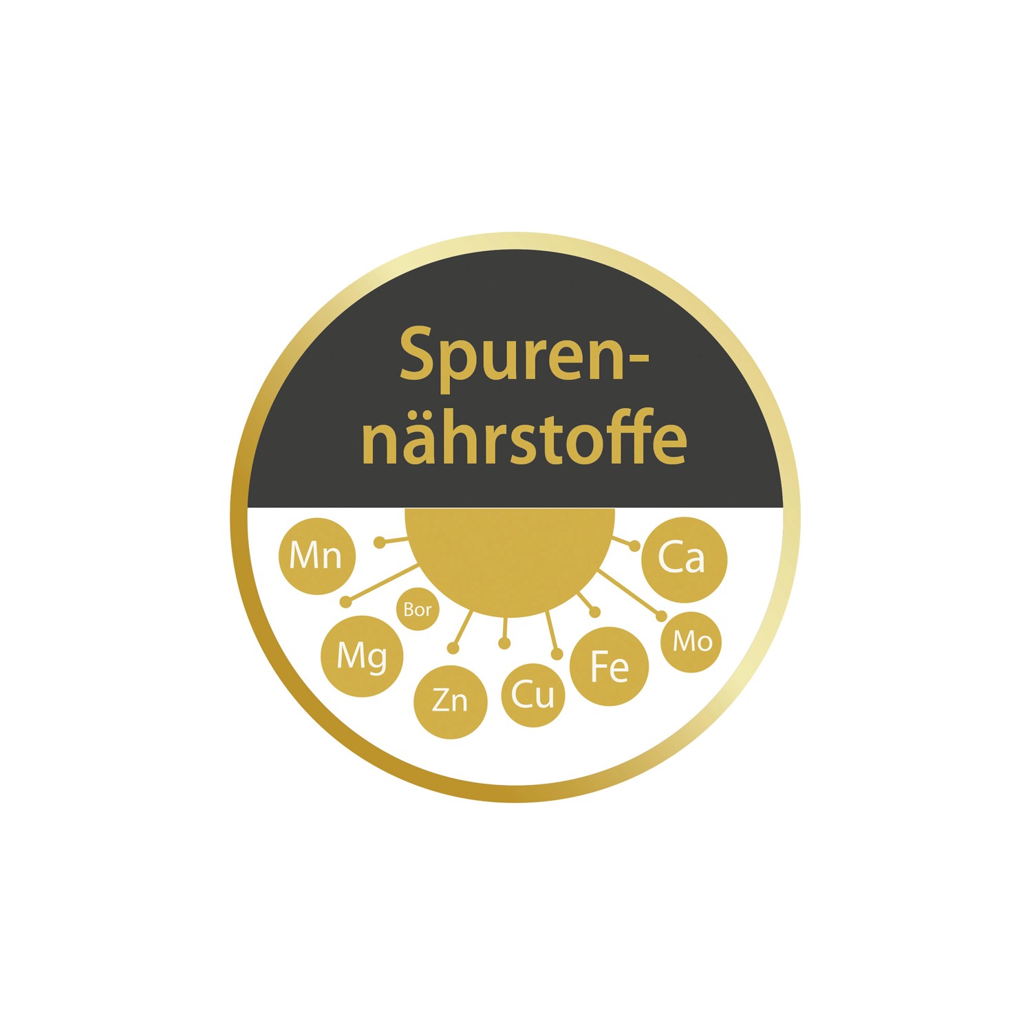 Compo Rasen Fit+ 1 x 20 l_3