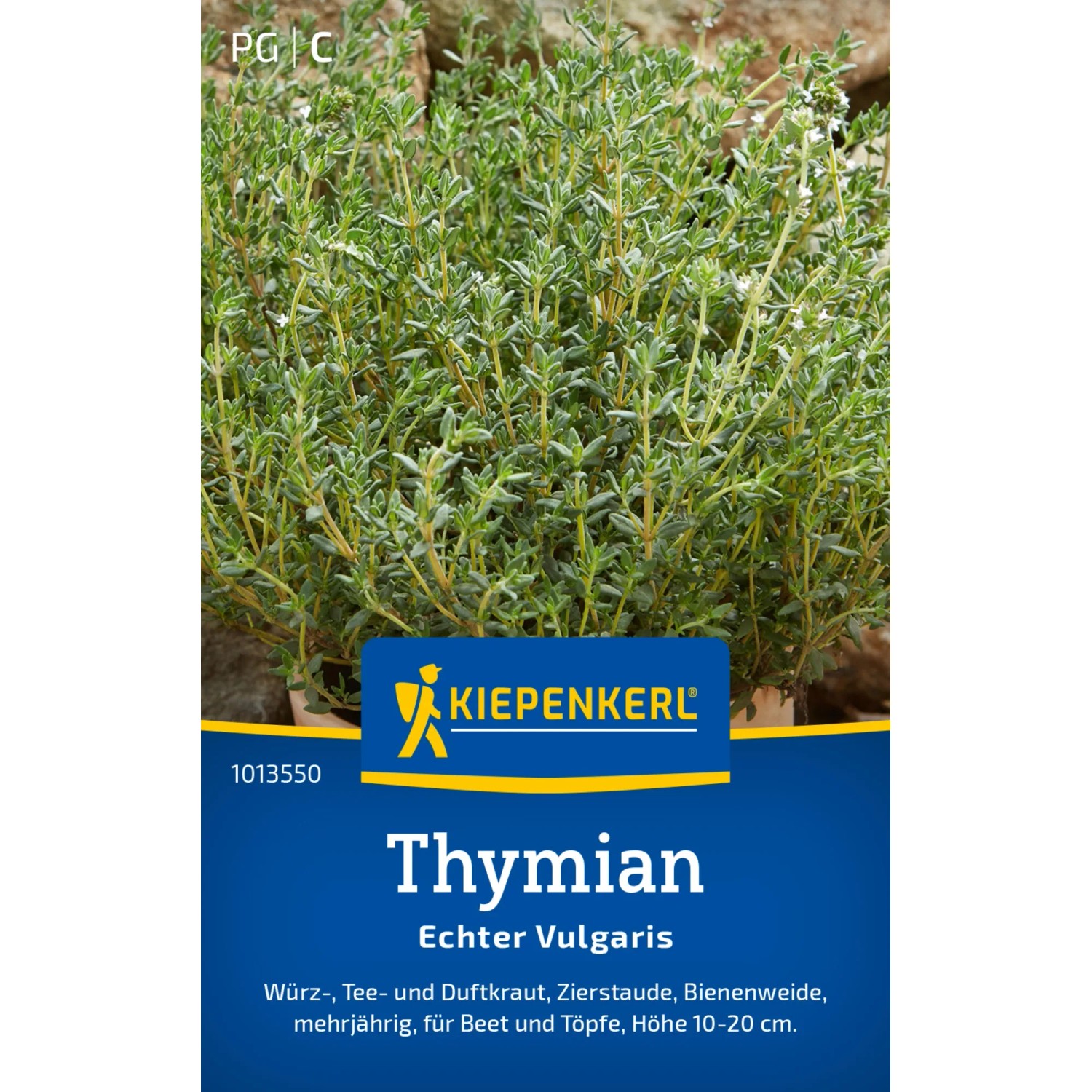 Kiepenkerl Thymian "Echter Vulgaris"