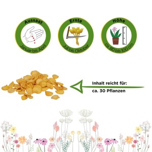 Paprika California Wonder Samen. Icons zeigen Aussaat (Jan-Apr), Ernte (Jul-Okt), Höhe (80-100cm). Inhalt für ca. 30 Pflanzen.