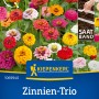 Kiepenkerl Zinnien Oklahoma Formelmischung: Farbenfrohe Zinnienblüten in verschiedenen Farben.