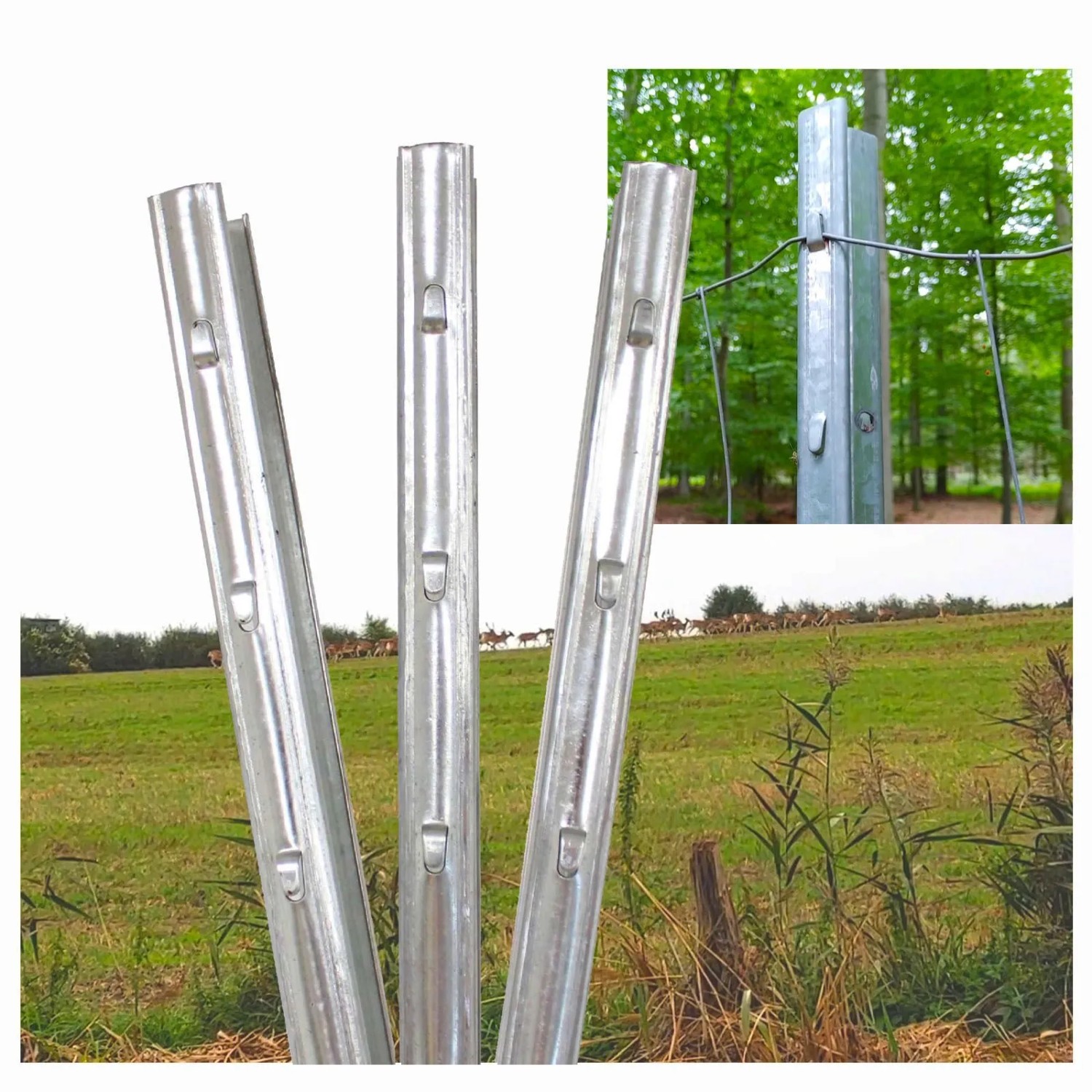 TRUTZHOLM Z Profil Zaunpfosten 215cm Verzinkt 30x Zaunpfähle mit Haken günstig online kaufen