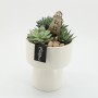 Sukkulenten-Arrangement im weißen Keramiktopf mit Deko-Leuchtturm, Topf ca. 16cm Ø.