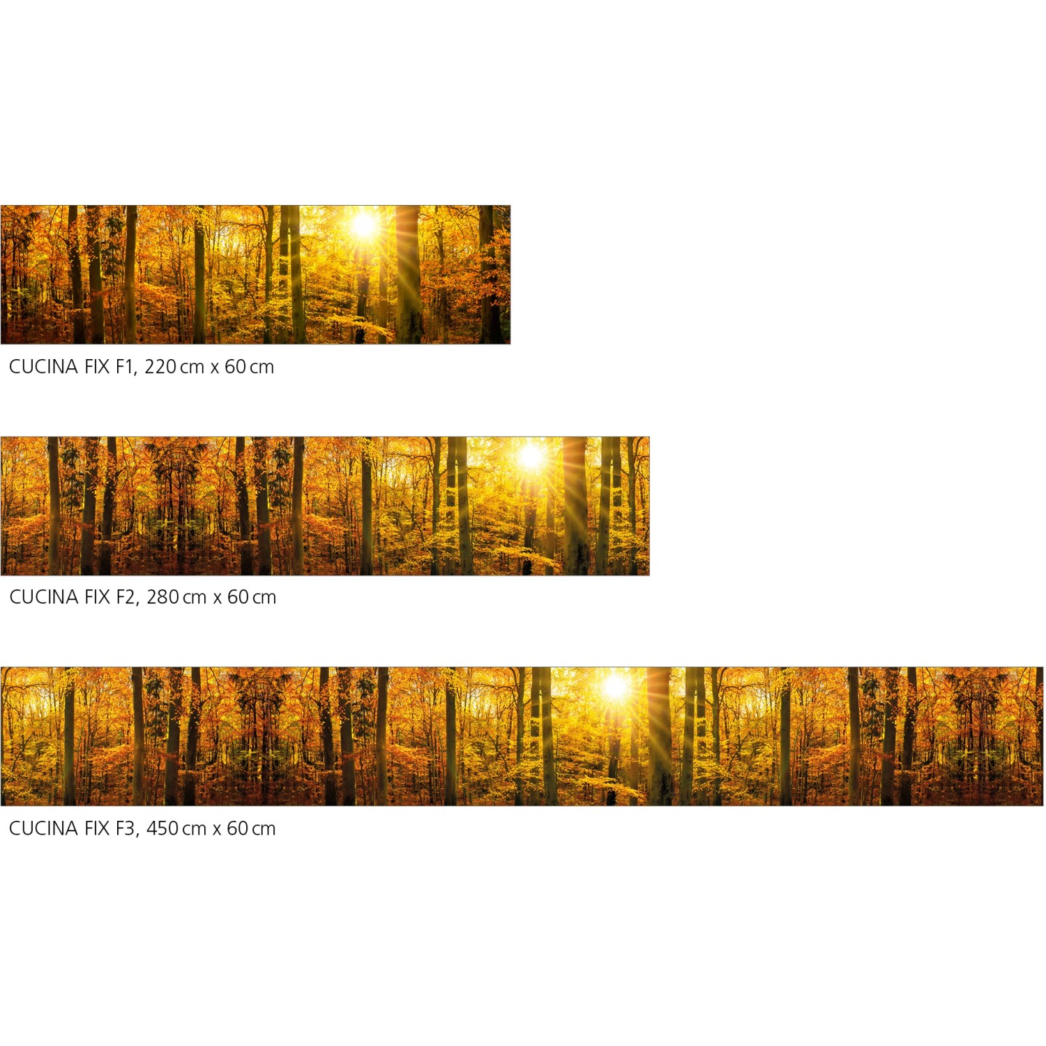 Myspotti Küchenrückwandfolie Herbstwald, selbstklebend, verschiedene Größen.