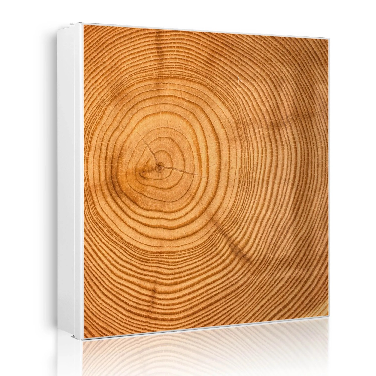Banjado Großer Schlüsselkasten Metall 30x30cm Weiß Scharnier Rechts 50 Haken Beschreibbar Magnetisch Motiv Baumstamm