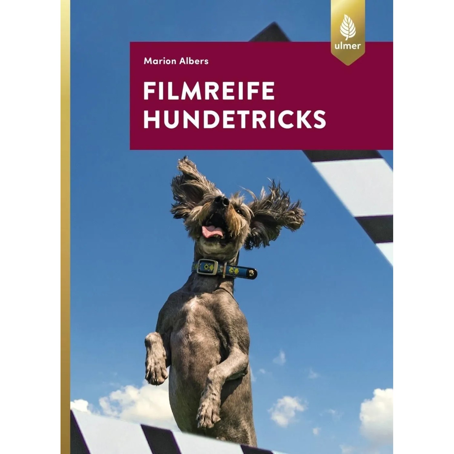 Image of Filmreife Hundetricks