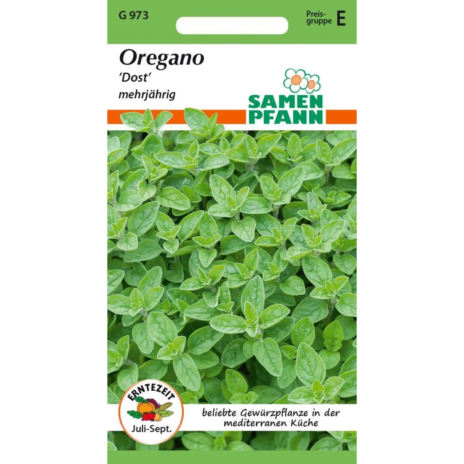 SAMEN PFANN Oregano Dost günstig online kaufen