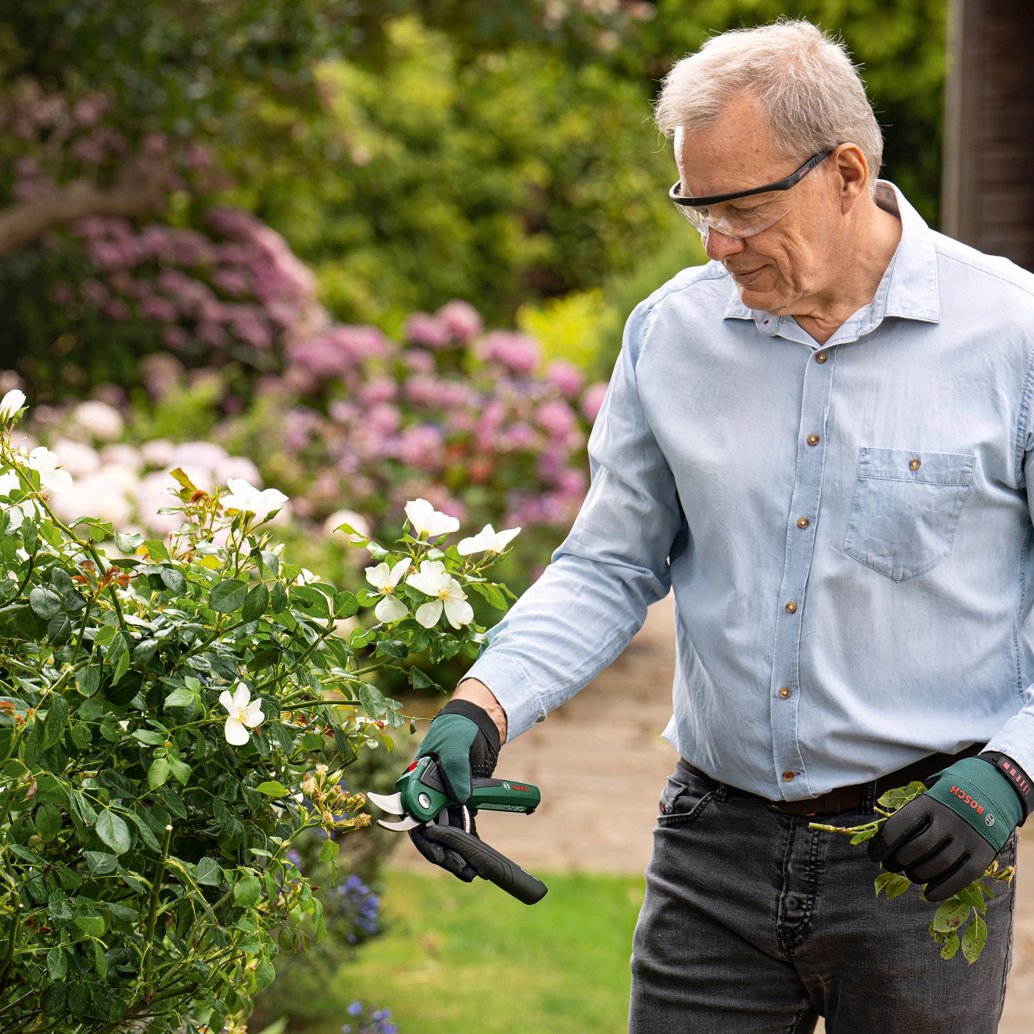 Mann schneidet Rosen mit der Bosch Akku-Gartenschere EasyPrune im Garten.