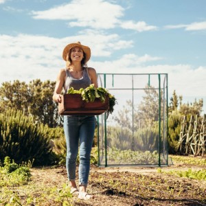 Lächelnde Frau mit Ernte vor transparentem Tomatengewächshaus. Begehbares Foliengewächshaus für Gemüse im Garten.