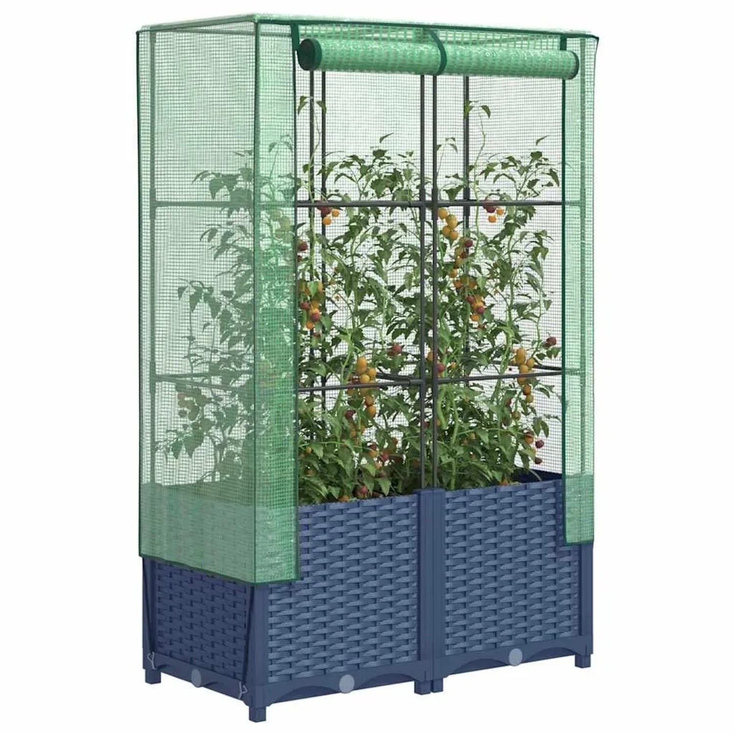 vidaXL Hochbeet mit Gewächshaus-Aufsatz Rattan-Optik 80x40x138 cm 4015828_2