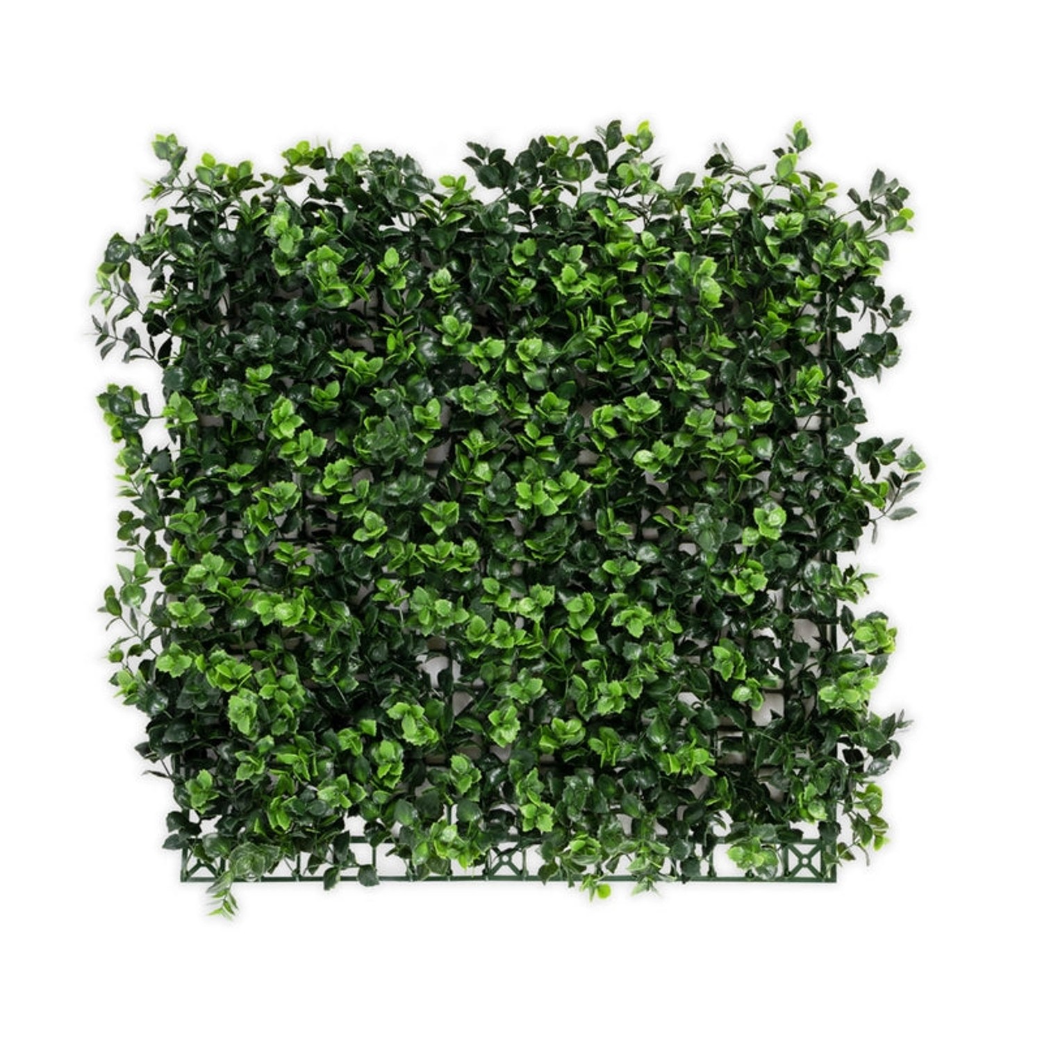 KARAT Pflanzenwand Pachysandra Kunstpflanze zur Dekoration 50 x 50 cm