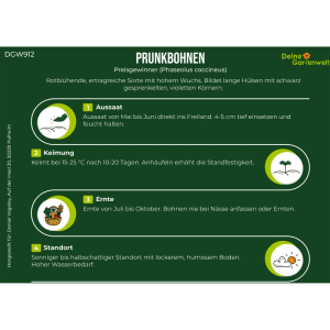 Infografik Prunkbohne Feuerbohne Samen: Anbauanleitung mit Icons für Aussaat, Keimung, Ernte und Standort.