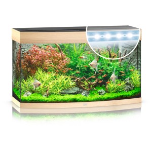 Juwel Vision 180 LED Aquarium-Set, helles Holz, 180 Liter, mit Fischen und Pflanzen.