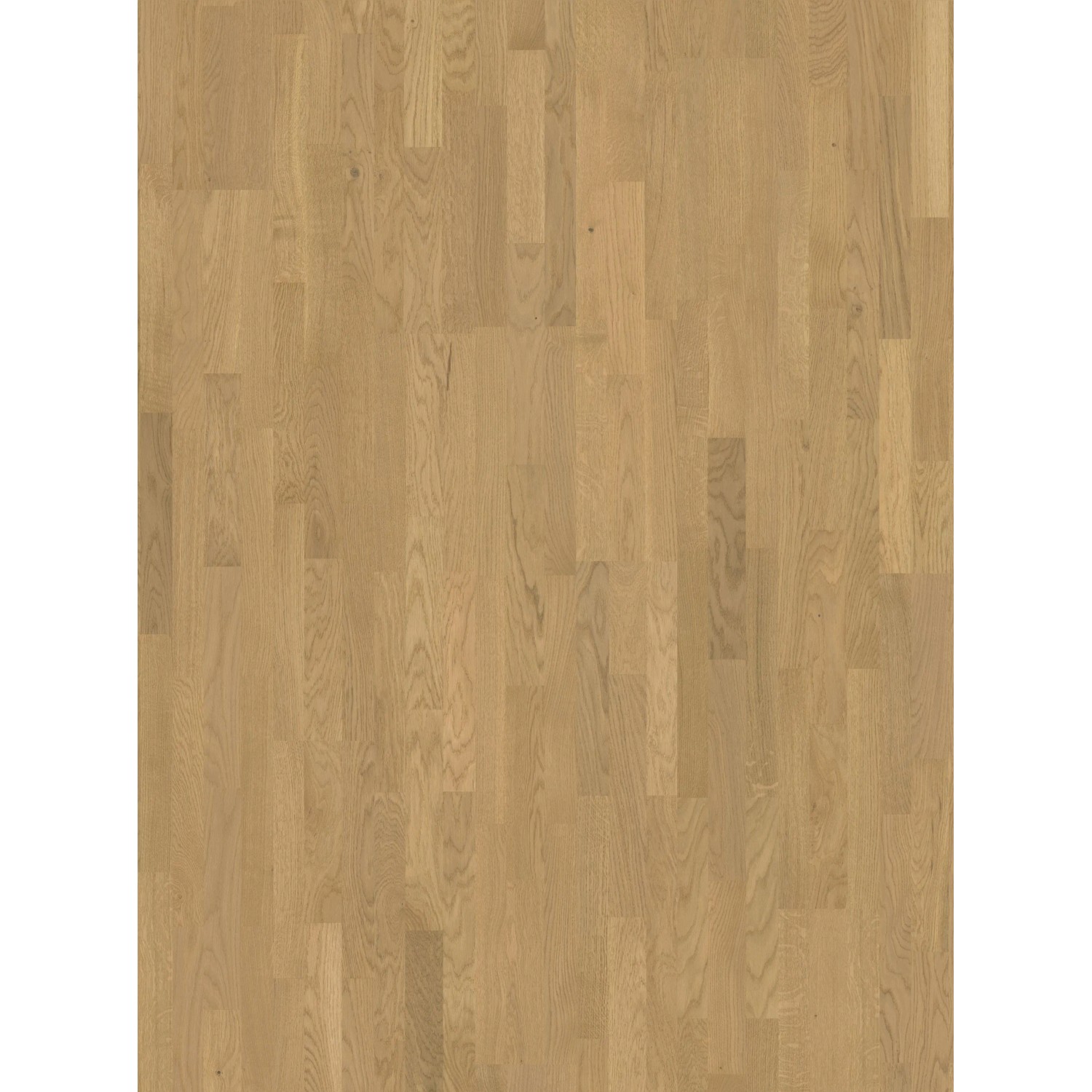 Parador Parkettmuster 3025 Rustikal Eiche Malbec Lackiert Matt