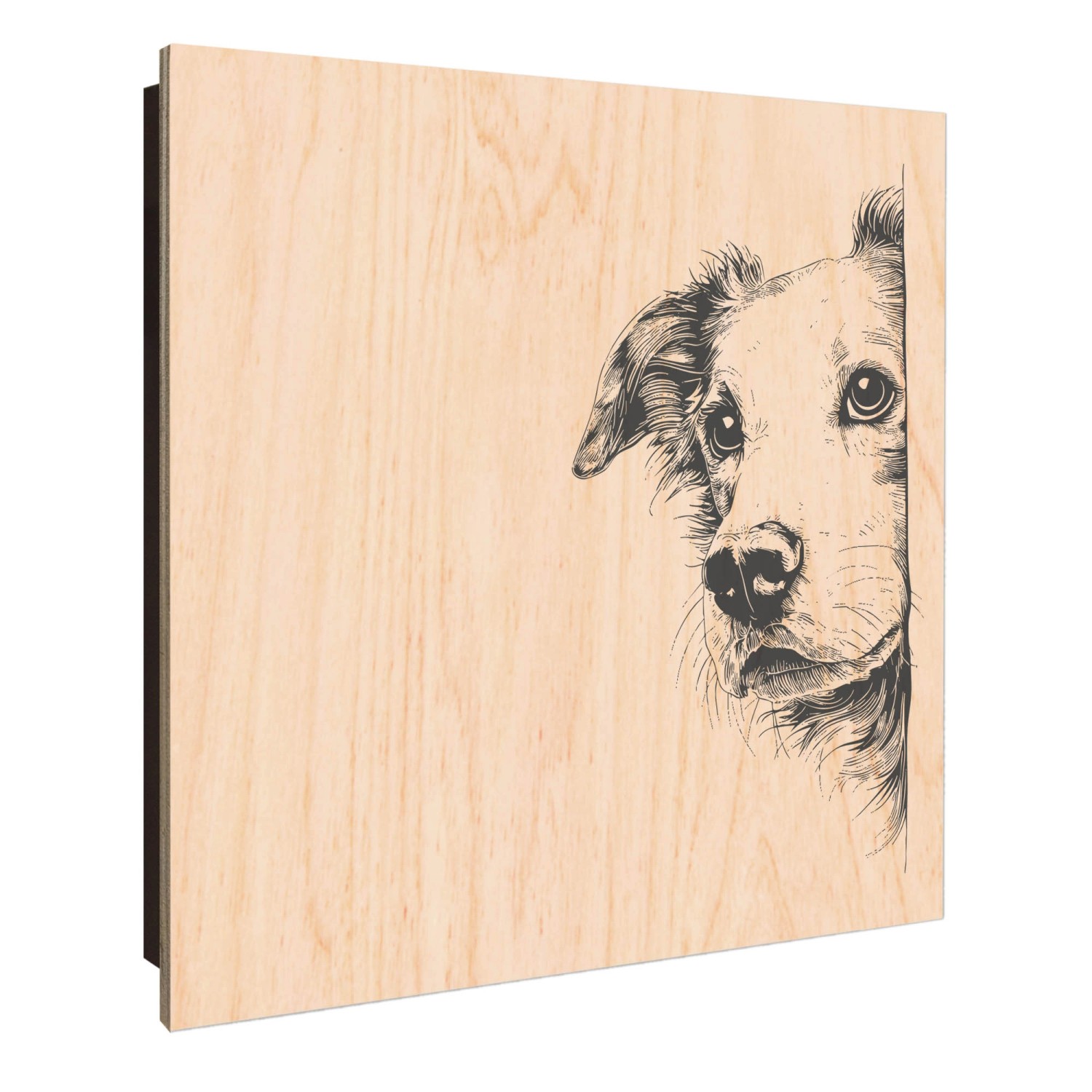 Banjado Schlüsselkasten Holz 30x30cm Schwarz Scharnier Rechts 50 Haken Desi günstig online kaufen