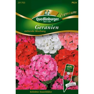 Quedlinburger Geranien Mischung, stehend, loses Saatgut in verschiedenen Farben.